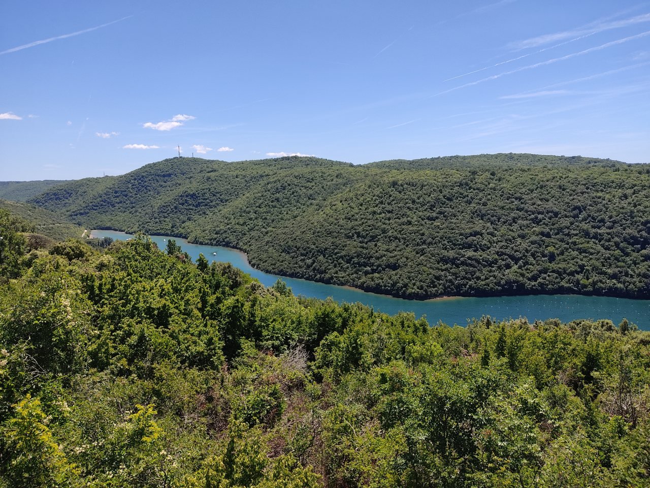 A view over the wooded shores of Lim Bay in June 2026